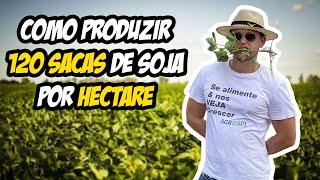 Como Produzir 120 Sacas de Soja por Hectare