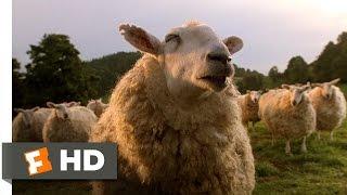 Babe (7/9) Movie CLIP - The Sheep Password (1995) HD