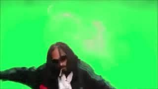 ФУТАЖ Snoop dogg Airplane Green Screen