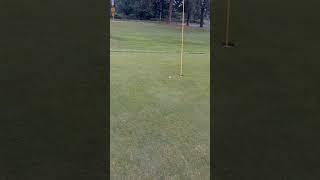 Right place. Right stroke. Chip-in magic. 🪄#GolfShot #ChipIn #GolfMagic #GolfShorts #GolfLife #Golf