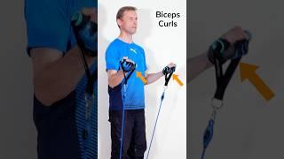 Top 5 Biceps Curls Variations | Resistance Bands Arm Exercises #fitnesstube