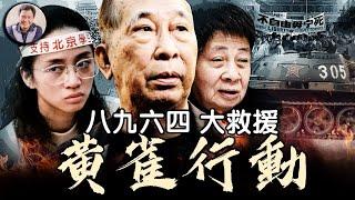 八九六四，盜亦有道：香港黑社會參與援救六四“逃犯”愛國壯舉--黃雀行動。民主派元老司徒華出面、藝人梅艷芳出錢，新義安、十四K出人出船，拯救中國民主未來。【歷史上的今天20250603第403期】