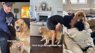 Golden Retriever Loves His Human Brothers