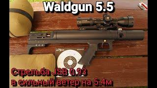 Первый натурный отстрел Waldgun 5.5 в сильный ветер