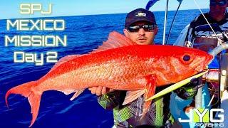 SLOW PITCH JIGGING EXPEDITION PT 2 - DEEP WATER SNAPPERS - JYG PROFISHING {catch, clean and cook}