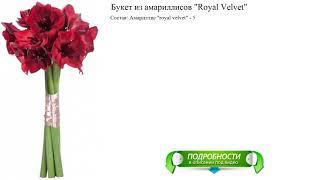 Букет из амариллисов "Royal Velvet" Стильный букет