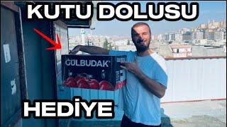 DEV GÜVERCİN KÜMESİNE KUTU DOLUSU  HEDİYE KUŞLAR GELDİ !