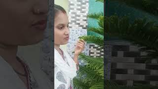 #odiasong #Shorts#vidio @pk Kitchen and Entertainment