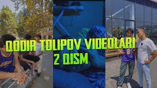 Qodir Tolipov Vinelar To'plami ｜ Yangi Vaynlar ｜ Instagram Videolar 2024