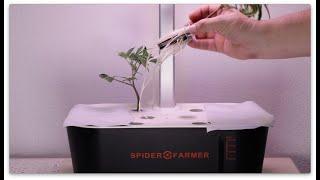 Can The Spider Farmer Smart G12 Hydro System Clone Plants? - Part 3: Results And Conclusions