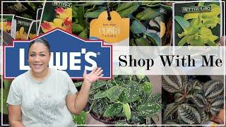 Lowe's Shop With Me | What's in stock ??? #new #plants #houseplants #lowes #shopping #shopwithme