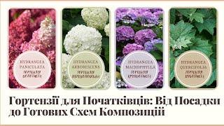 4 основні види гортензій + 19 ГОТОВИХ САДОВИХ КОМПОЗИЦІЙ з гортензіями, багаторічниками та злаками