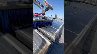 Solar panel cleaning in 2025