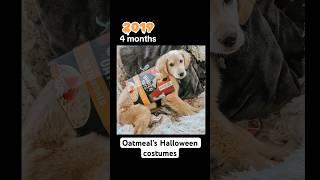 What do you think he’ll be this year? #DogCostume #Puppy #Halloween @Quaker