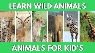 Wild Animals for Kids