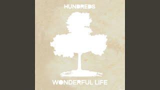 Wonderful Life