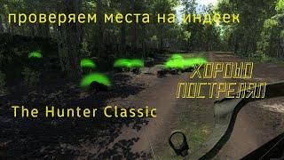 The Hunter Classic. Фармовая точка с индейкой. Настрелял тонну индеек.