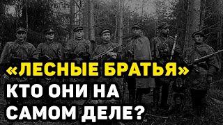 ВСЯ ПРАВДА О ЗВЕРСТВАХ «ЛЕСНЫХ БРАТЬЕВ» В ПРИБАЛТИКЕ ВРЕМЁН СССР