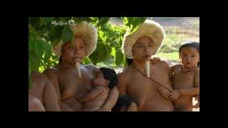 Tears of the Amazon | Documetary 아마존의 눈물