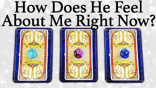 WHAT DOES HE/SHE THINK AND FEEL ABOUT ME RIGHT NOW?| Pick A Card | Love Tarot Reading (Timeless)