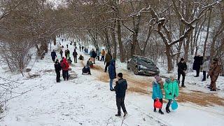 Зима в Севастополе. Дети катаются на санках.