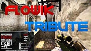 CS:GO - Flowik Tribute