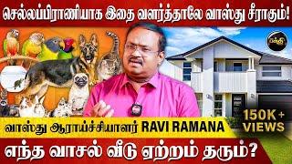 செல்லப்பிராணியாக இதை வளர்த்தாலே வாஸ்து சீராகும்! - Vasthu Master Dr. Ravi Ramana | Kumudam Bakthi