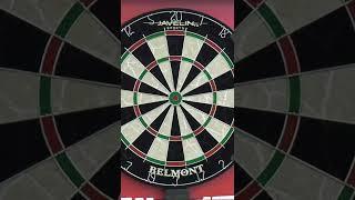 Narwhal Bristle Dartboard, Revolution Electronic Dartboard, and Dartboard with Cabinet #shorts