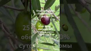 Макс 10 оливок/день #оливки#оливковоемасло#соль#давление#витамины#здоровье#полезно#еда#health#olive