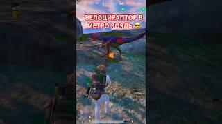 Велоцираптор в метро рояль  #mertoroyal #metro #pubg #pubgmobile #метророяль #метро #пабг