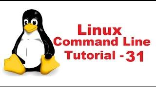 Linux Command Line Tutorial For Beginners 31 -  cal command