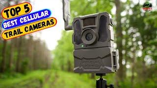 Best Cellular Trail Cameras You can Buy Right Now [2024]