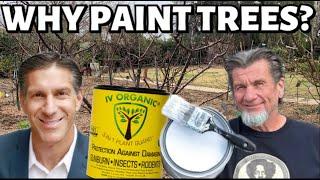 Why WhiteWash 'Paint' Fruit Trees | Latex vs IV Organic | feat. Ask_Mr_List