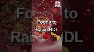 Impact of Foods to Help Lower LDL and Raise HDL | RR Health Care #viralreels