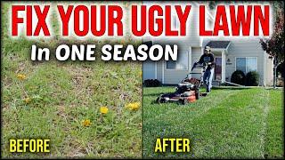 Fix An Ugly Lawn In ONE SEASON Without Seeding Or Overseeding