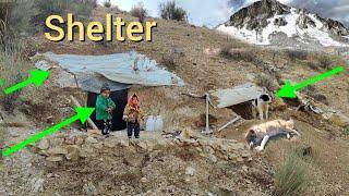 Mountain Shelter:Story of a Woman Who Lives in a Cave with Her Dogs