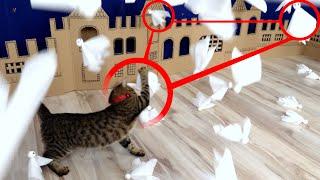 CAT ATTACK on ghost town in real life! 