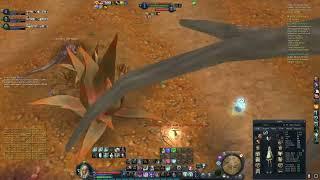 Aion Classic 2.0 PvP - Spiritmaster Choou