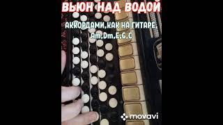 БАЯН."ВЬЮН НАД ВОДОЙ"БЕЗ НОТ АККОРДАМИ Am,Dm,E,G,C, КАК НА ГИТАРЕ.RUSSIAN SONG WITH ACCORDION.