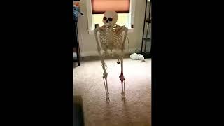 Skeleton falling meme