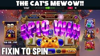 The Cat's MeWOW!! EPIC WINNING on WILD WHISKERS  Chumba Casino