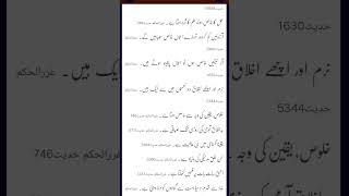 #Imam Ali qoutes #youtube#youtubeshorts#ytshorts#babul ilm