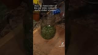 Make Rosemary Tincture #holisticpatriots #tiktok #shorts