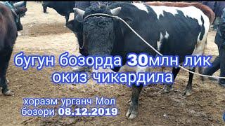 ХОРАЗМ УРГАНЧ МОЛ БОЗОРИ 8 декабря 2019 г.