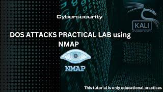 DOS Attacks lab using NMAP