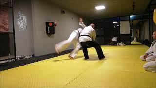 Aikido 253 - 04