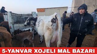 5-ЯНВАРЬ/ХОЖЕЛИ МАЛ БАЗАРЫ/СКОТНЫЙ РЫНОК/BUQALAR/BIG BULLS IN THE WORLD/BIG COW