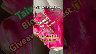 Dragon Fruit plant Giveaway contest  || Big Red 3 #trending #dragonfruitplant #ytshorts #subscribe