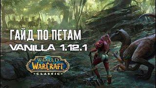 Лучший Гайд по петам World of WarCraft Classic 1.12.1