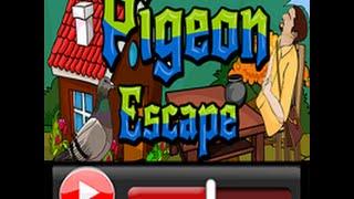 Pigeon Escape Walkthrough